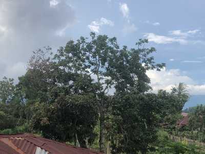 Bukittinggi