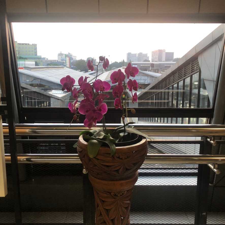 How far away is home?