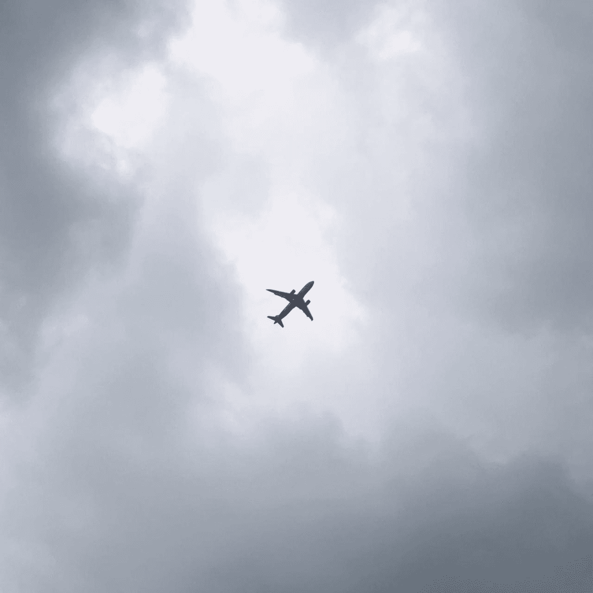 Flight